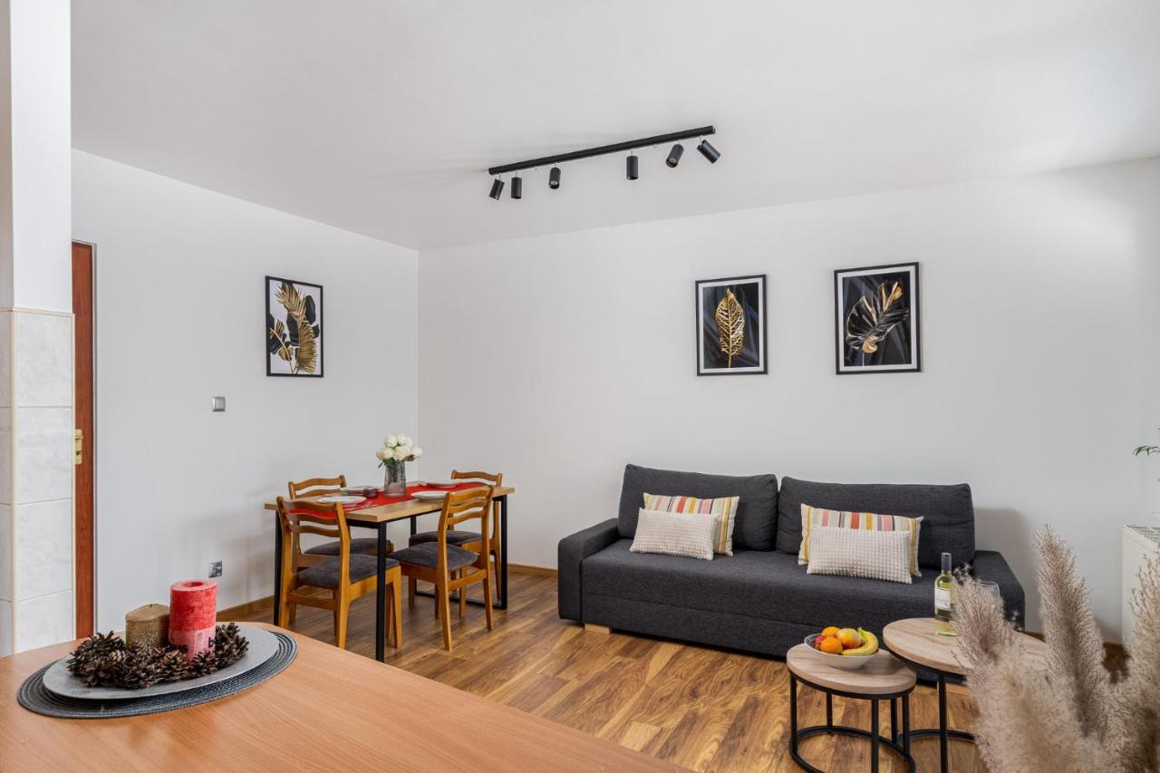 Apartament Z Parkingiem 扎科帕内 外观 照片